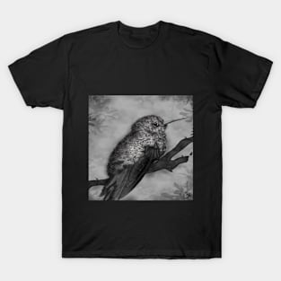 Hummingbird T-Shirt